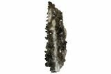 Tall, Free-Standing Smoky Quartz Cluster - Brazil #137843-8